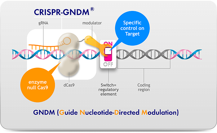 CRISPR-GNDM Platform Enables Specific Modulation of Gene