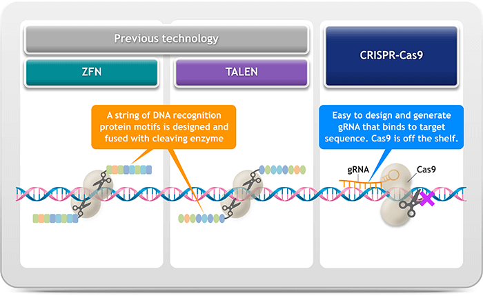 The only variable component in CRISPR-Cas9 is gRNA, which allows fast optimization and high throughput screening.