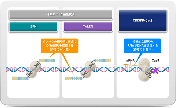 CRISPRのゲノム編集技術